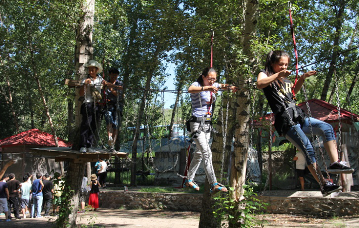 鴻安德龍技術有限公司